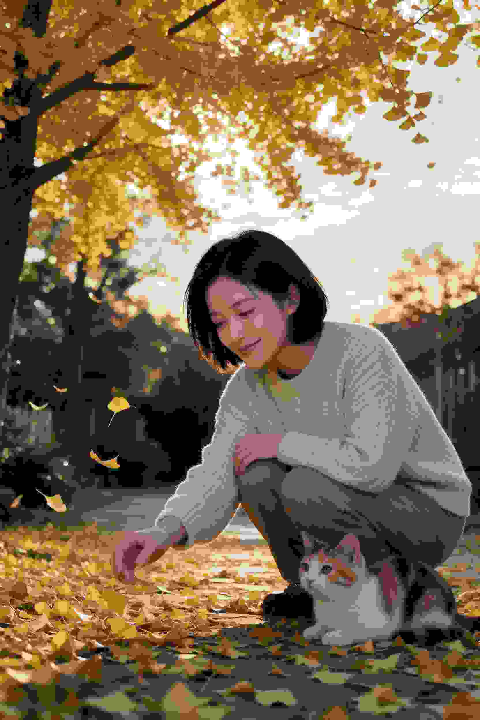 禁地之声